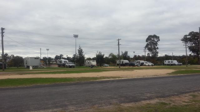 Inverell Showground Camping - Inverell: Power sites for caravans and RVs.