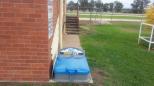 Inverell Showground Camping - Inverell: Dump Site in the Showground near amenities