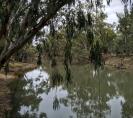 Ashton Street Campground - Jerilderie: You are not encouraged to swim in the river due to the risk of algae.