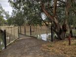 Ashton Street Campground - Jerilderie:  There are some nice walking tracks adjacent to the campground so you can easily go into the main shopping area or walk along the river.