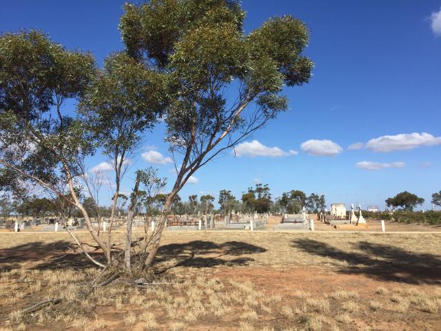 Williwa North Rest Area - Jerilderie: The rest area is close to the Newell Highway so traffic noise is unavoidable. 