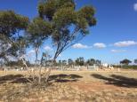 Williwa North Rest Area - Jerilderie: The rest area is close to the Newell Highway so traffic noise is unavoidable. 