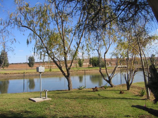 Junee Tourist Park - Junee: Powered sites for caravans with water view