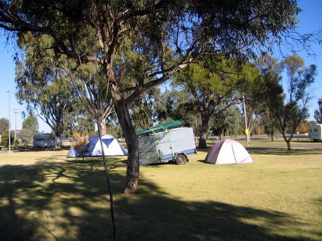 Junee Tourist Park - Junee: Area for tents and camping