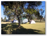 Junee Tourist Park - Junee: Area for tents and camping