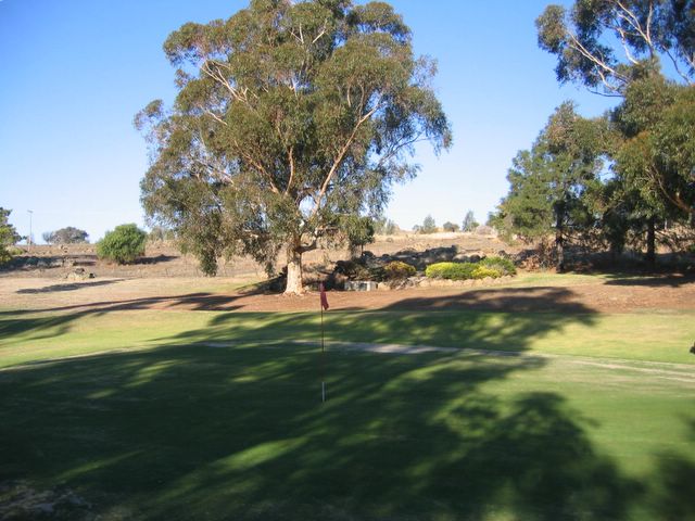 Junee Golf Course - Junee: Green on Hole 4