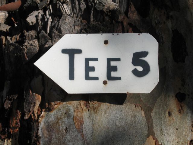 Junee Golf Course - Junee: Directions to 5th Tee