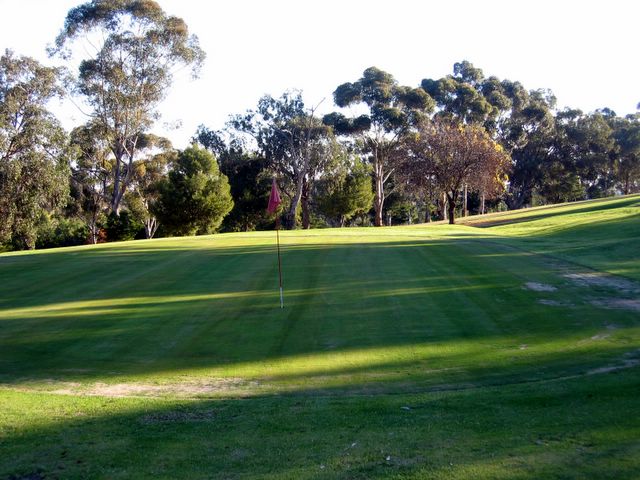 Junee Golf Course - Junee: Green on Hole 6