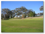 Junee Golf Course - Junee: Green on Hole 3