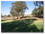 Junee Golf Course - Junee: Green on Hole 4