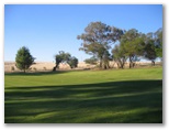 Junee Golf Course - Junee: Green on Hole 5