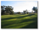 Junee Golf Course - Junee: Green on Hole 7