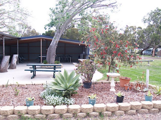 Kingscote Nepean Bay Tourist Park - Kingscote Kangaroo Island: Delightful garden in front of camp kitchen