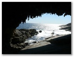 Kingscote Nepean Bay Tourist Park - Kingscote Kangaroo Island: Admirals Arch (NZ Fur Seals sleeping in shade)