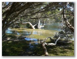 Kingscote Nepean Bay Tourist Park - Kingscote Kangaroo Island: Chapman River, Ante chamber Bay