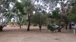 Western K I Caravan Park and Wildlife Reserve - Flinders Chase: Plenty of trees.