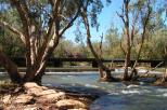 Shady Lane Tourist Park - Katherine: Whilst staying at Shady Glen a visit to Lower level Bridge on the Katherine River out on the West side of town is a must see swiming location