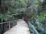 Katoomba Falls Caravan Park - Katoomba: Board walk in the valley on the track were the coal mine used to be. 