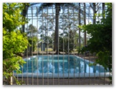 Tall Timbers Caravan Park - Kempsey: Swimming pool