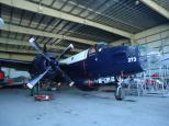 Easts Beach Holiday Park (BIG4) - Kiama: At HARS aircraft museum you get a guided tour of these great old birds.