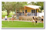 Kendalls on the Beach Holiday Park - Kiama: Plenty of space for fun and games.