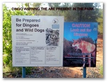 Kings Canyon Resort - Kings Canyon: Watch out for dingoes