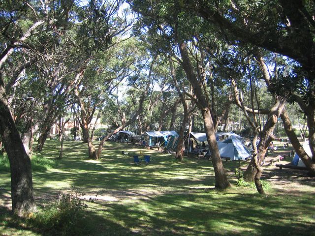 Kioloa Beach Holiday Park - Kioloa Beach: Area for tents and campers
