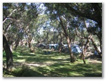 Kioloa Beach Holiday Park - Kioloa Beach: Area for tents and campers
