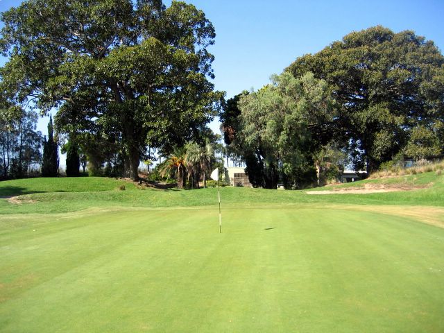 Kogarah Golf Course - Kogarah: Green on Hole 2