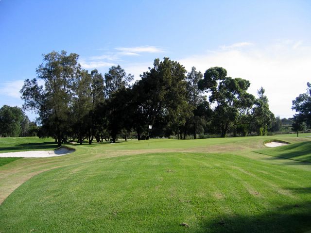 Kogarah Golf Course - Kogarah: Green on Hole 4