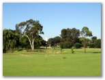 Kogarah Golf Course - Kogarah: Green on Hole 5