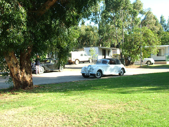 Kojonup Caravan Park - Kojonup: Kojonup Caravan Park is popular with car and caravan clubs.
