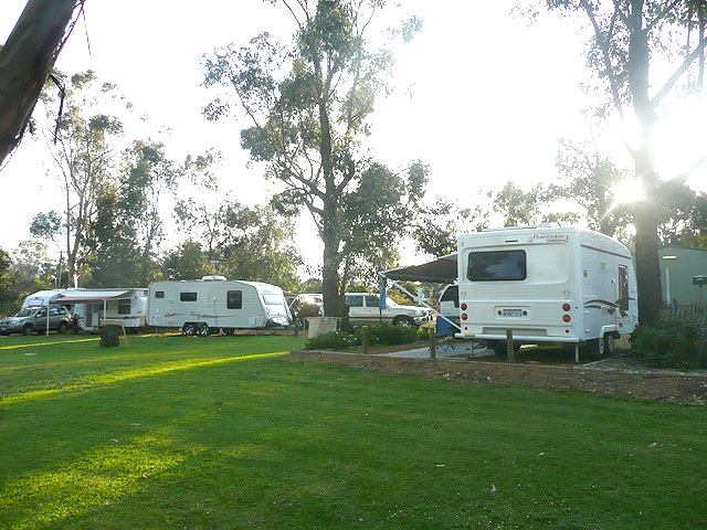 Kojonup Caravan Park - Kojonup: Kojonup Caravan Park powered sites and grassed area.