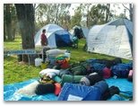 Kojonup Caravan Park - Kojonup: Kojonup Caravan Park camping area.