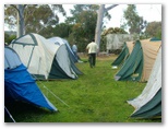 Kojonup Caravan Park - Kojonup: Kojonup Caravan Park camping area