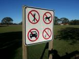 Korora Sportsground - Korora: Pets are not allowed.