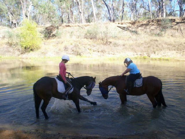 Wakiti Creek Resort - Kotupna: Horse riding
