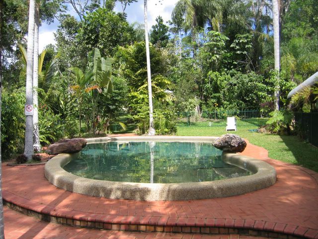 Kuranda Rainforest Accommodation Park - Kuranda: Swimming pool
