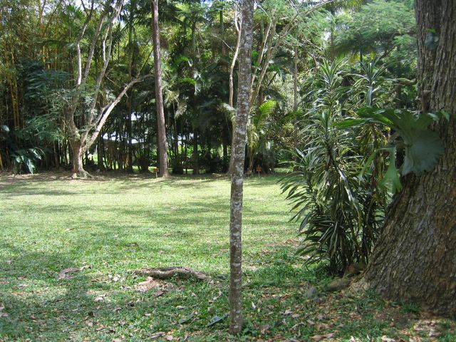 Kuranda Rainforest Accommodation Park - Kuranda: Area for tents and camping