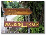 Kuranda Rainforest Accommodation Park - Kuranda: A number of walking tracks emanate from the park