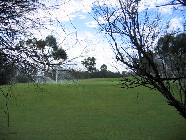 Kurri Golf Club - Kurri Kurri: Green on Hole 4