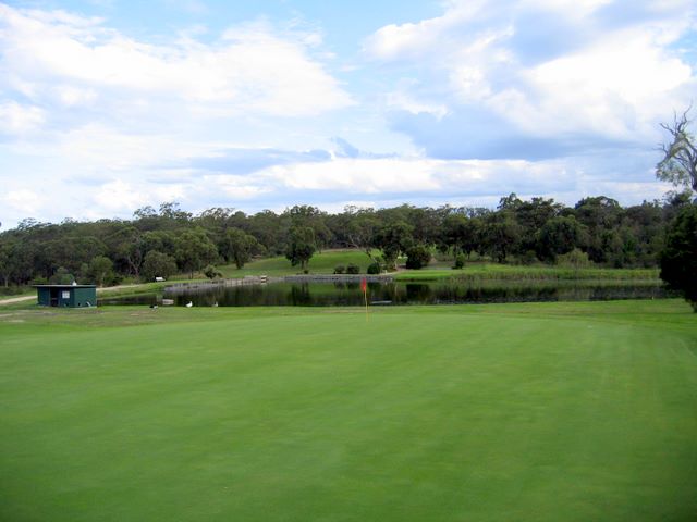 Kurri Golf Club - Kurri Kurri: Green on Hole 6
