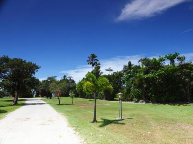 King Reef Resort Van Park - Kurrimine Beach North: Area for tents and camping 