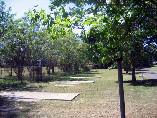 Kyogle Gardens Caravan Park - Kyogle: Powered sites for caravans