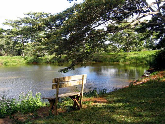 Lake Eacham Tourist Park - Lake Eacham: Lake for relaxation and reflection
