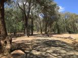 Lakeside Camping Area - Lake Eildon National Park: Campsites are clearly defined.
