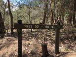 Lakeside Camping Area - Lake Eildon National Park: Sites are clearly marked