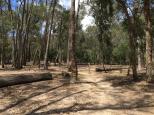 Lakeside Camping Area - Lake Eildon National Park: Campsites for caravans, camper trainers and RV's.