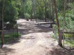 Lakeside Camping Area - Lake Eildon National Park: MAINLY TENT SITES INMOST OF THE CAMP AREA.