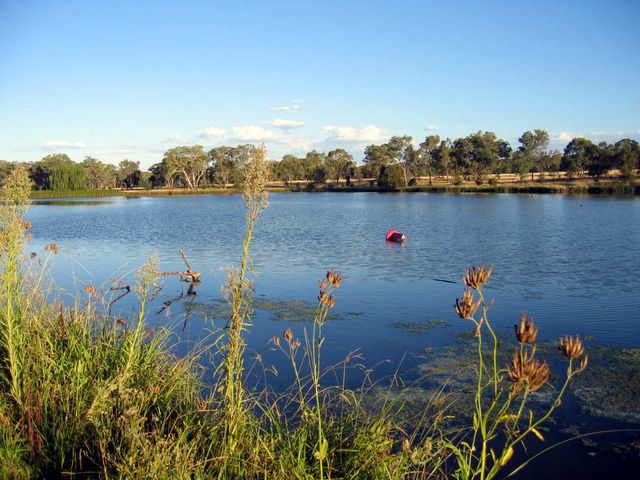 Lake Inverell Reserve - Inverell: A large number of community organisations contributed to the beautification of this area.